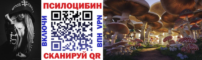 Галлюциногенные грибы Psilocybine cubensis  Лениногорск 