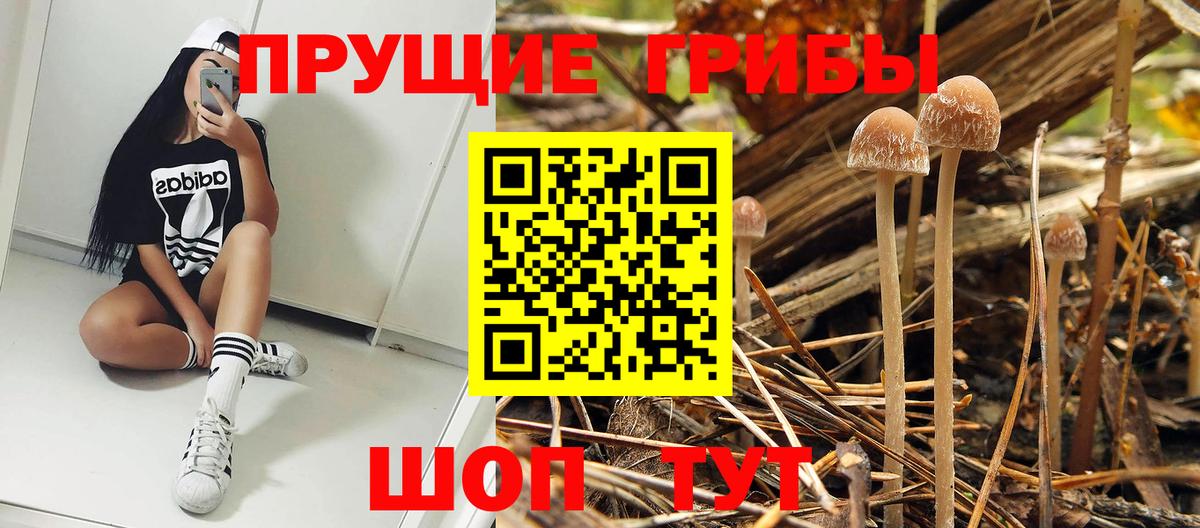 Псилоцибиновые грибы мухоморы Лениногорск
